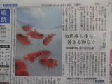 神戸新聞社様から取材を受けました。（詳細有り）