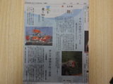 神戸新聞社様から取材を受けました。（詳細あり）